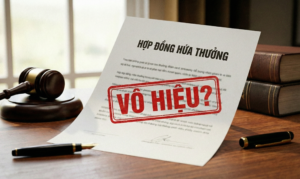 Hợp đồng “hứa thưởng” giữa luật sư và khách hàng: Nhìn từ bản chất hợp đồng dịch vụ pháp lý