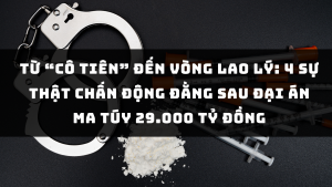 Từ "Cô tiên" đến vòng lao lý: 4 sự thật chấn động đằng sau đại án ma túy 29.000 tỷ đồng